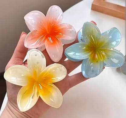 Pack of 6 PCs Korean Claw Clips – Strong Grip Hair Clamps for Women & Girls | Premium Quality Hair Accessories