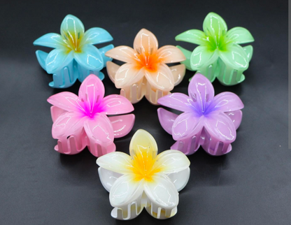 Pack of 6 PCs Korean Claw Clips – Strong Grip Hair Clamps for Women & Girls | Premium Quality Hair Accessories