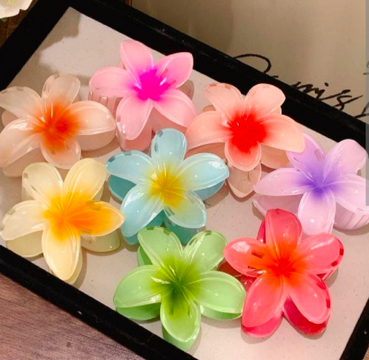 Pack of 6 PCs Korean Claw Clips – Strong Grip Hair Clamps for Women & Girls | Premium Quality Hair Accessories